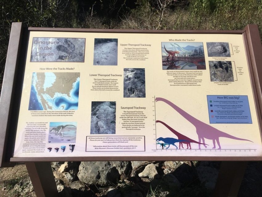Dinosaur Tracks at Government Canyon Paleontology World